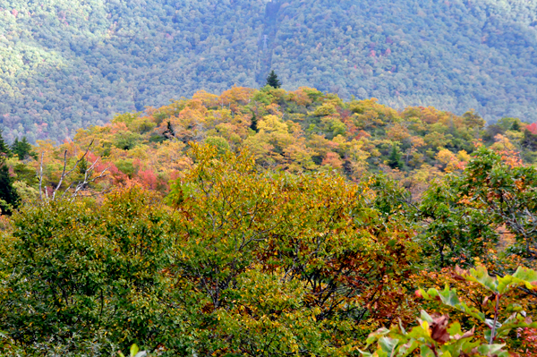 fall colors on The Blue Ridge Parkway